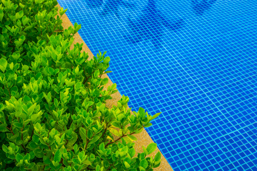 Acid Washing Pool: What You Need to Know